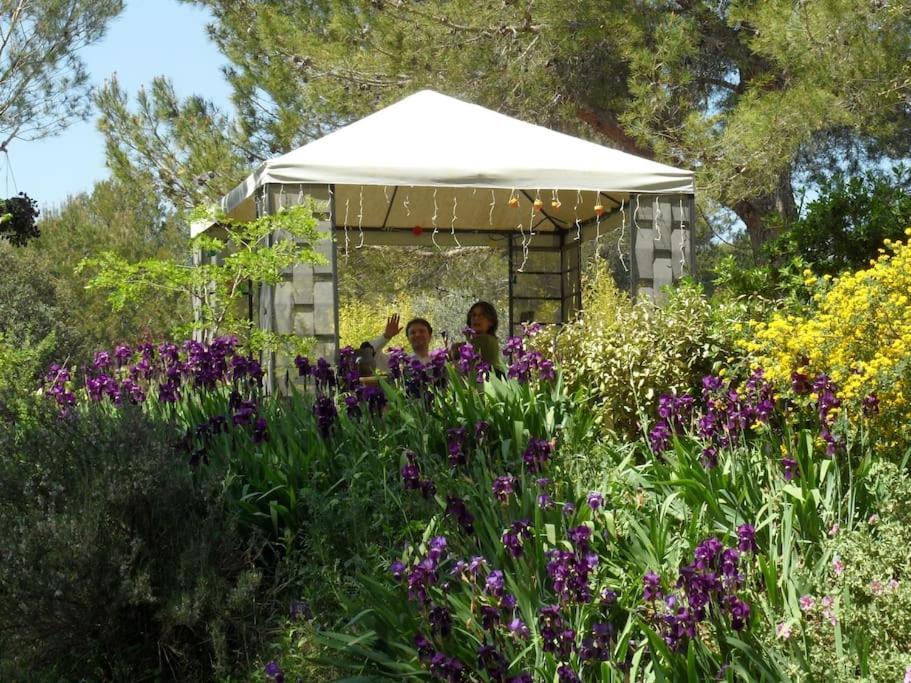 L'Oliveraie En Provence Lambesc Eksteriør bilde